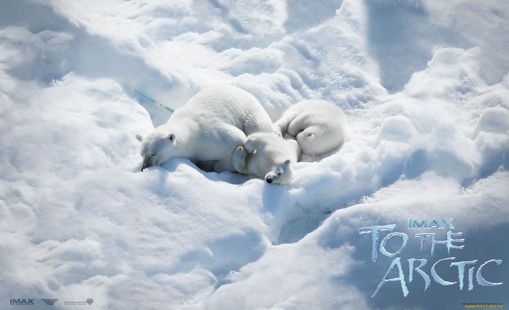 to, the, arctic, 3d, , , , , 